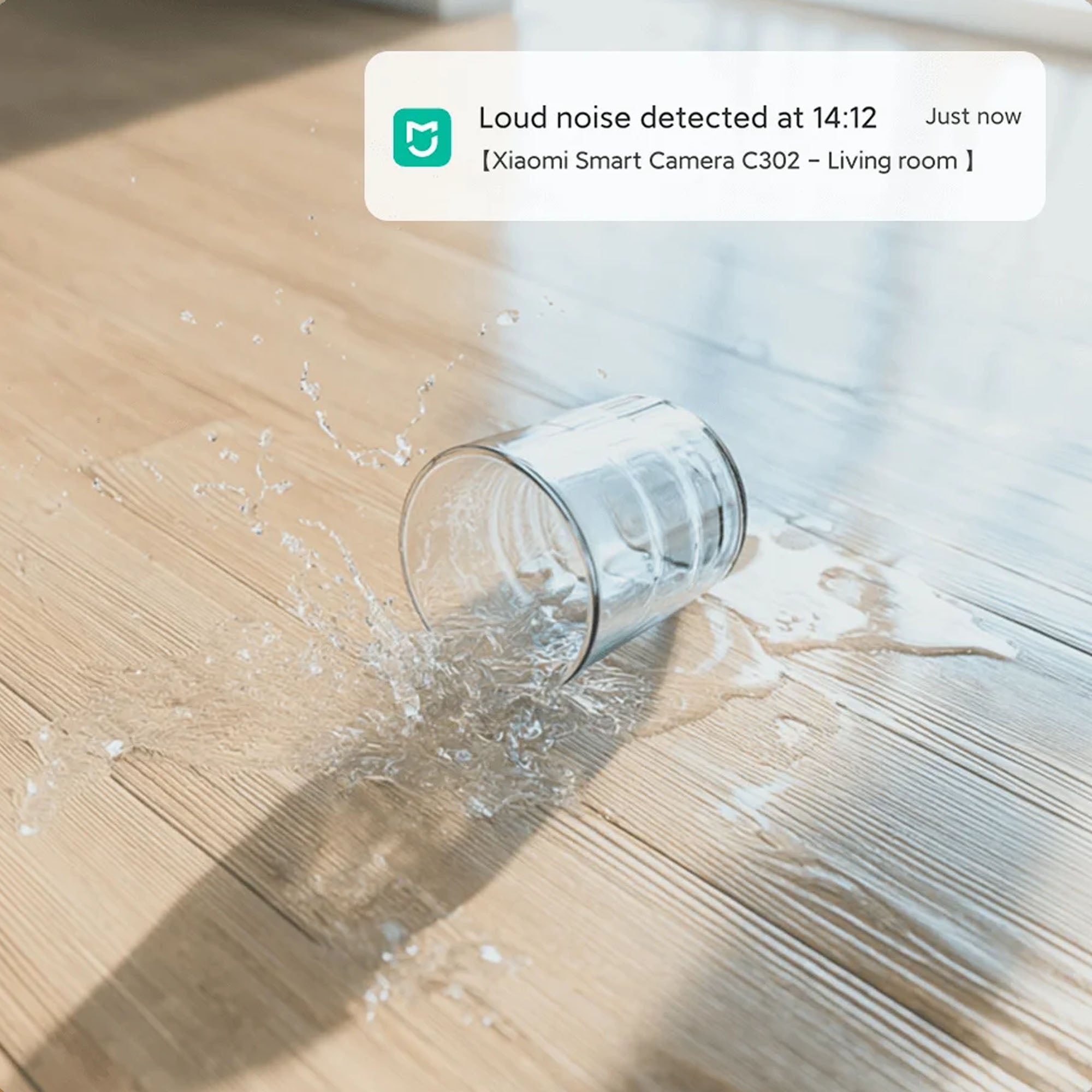 Xiaomi Smart Camera C302