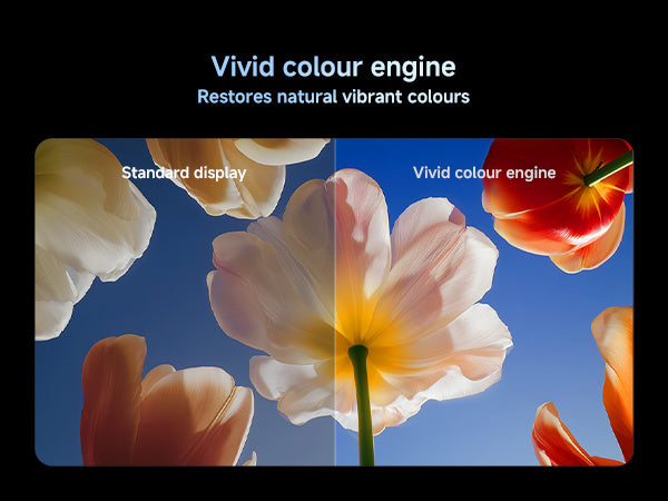 Xiaomi TV S Mini LED 65 pouces 2026