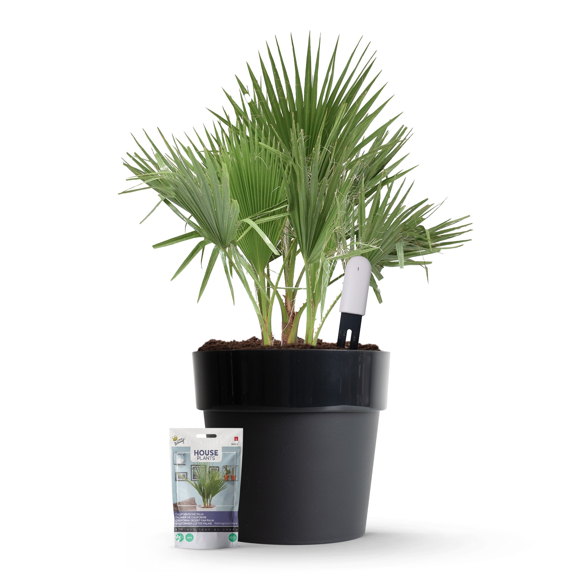 Xiaomi Plant Sensor Starter Kit