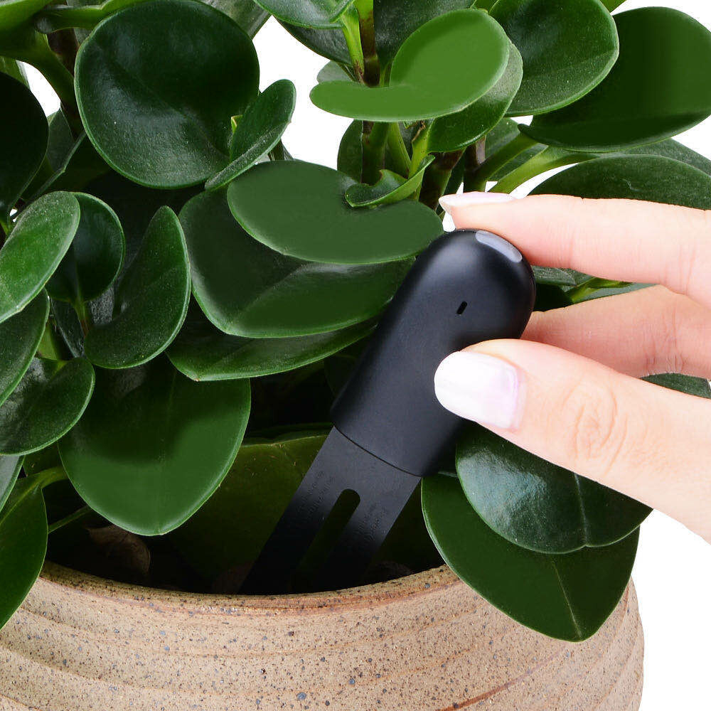 Xiaomi Mi Flower Care Touch-Sensor