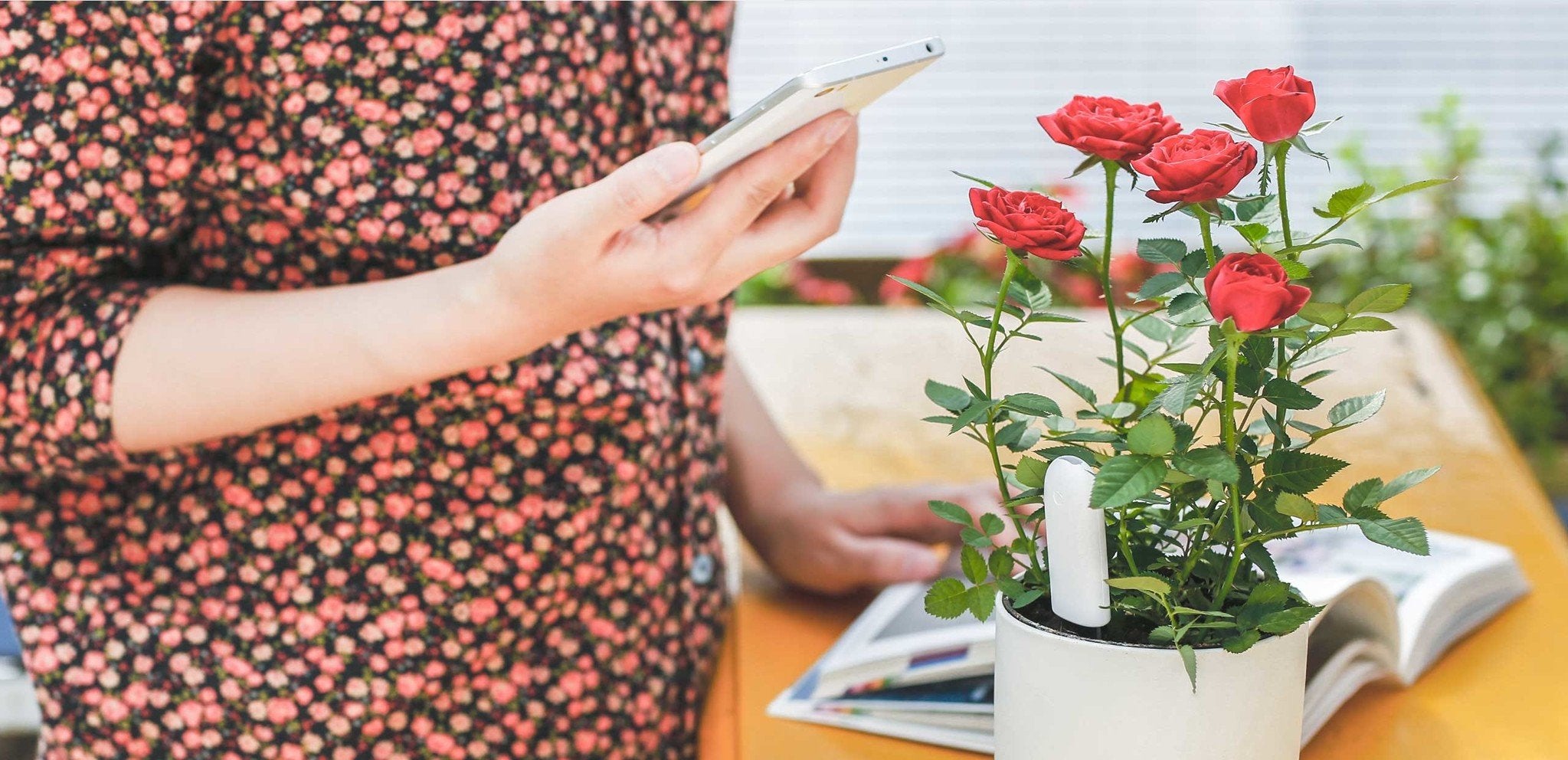 Xiaomi Mi Flower Care Plant Sensor