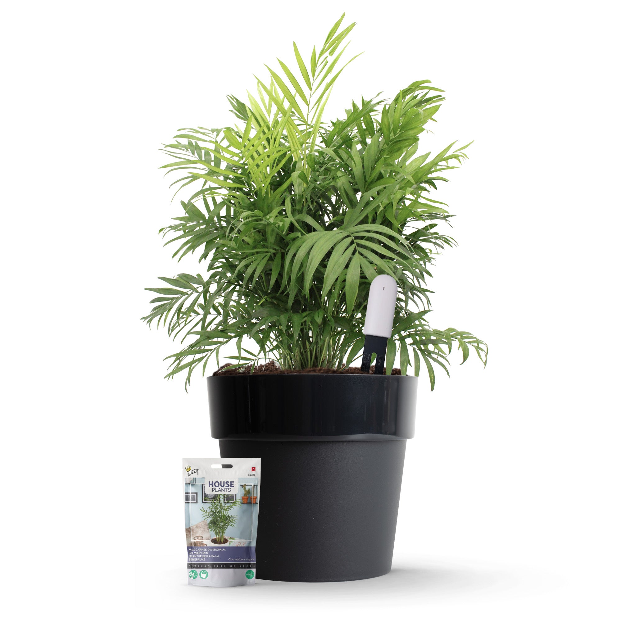 Xiaomi Plant Sensor Starter Kit