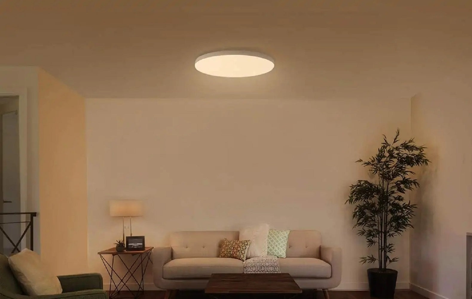 Xiaomi Mi Smart LED Ceiling Light 350mm