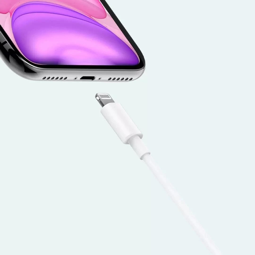 Câble Xiaomi Mi Type-C vers Lightning 1 m