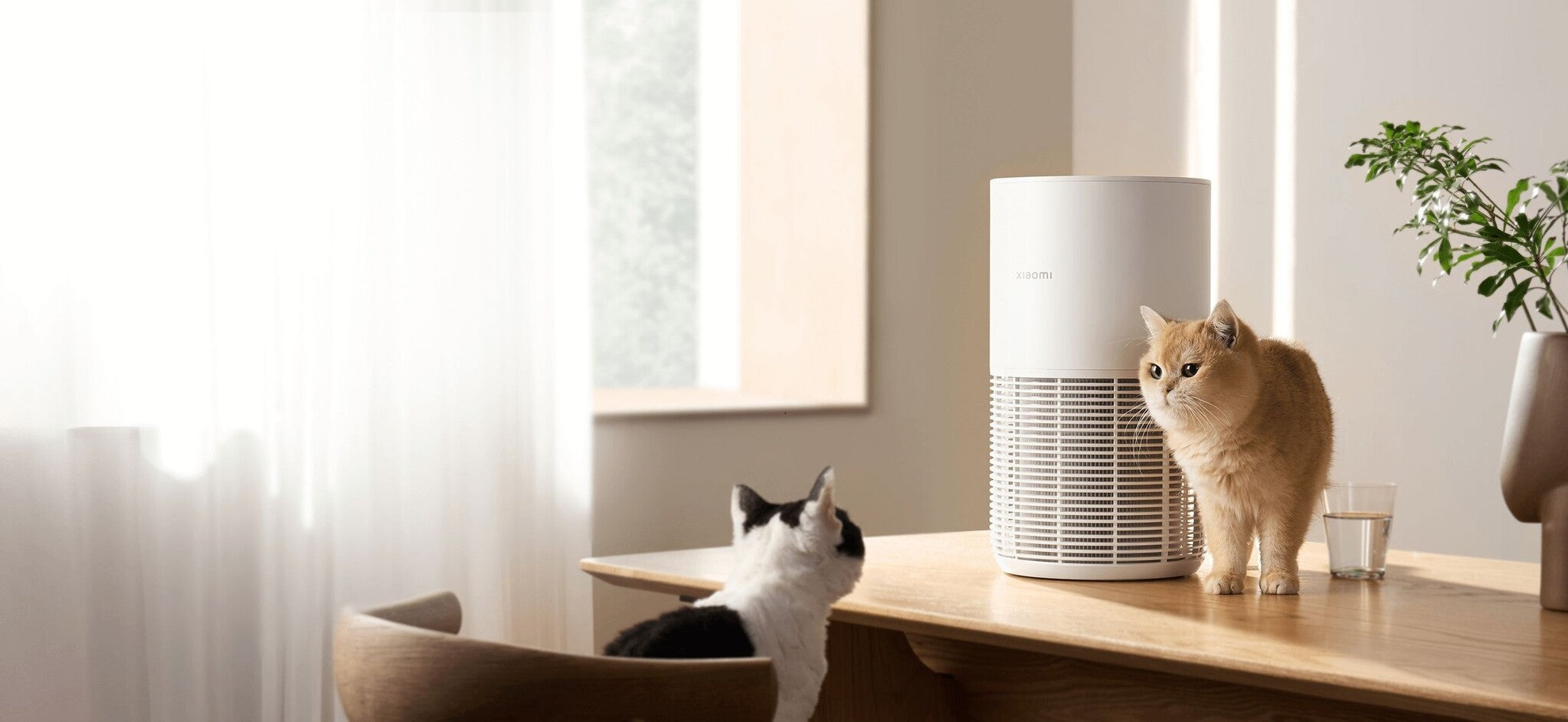 Xiaomi Smarter Luftreiniger für Haustiere