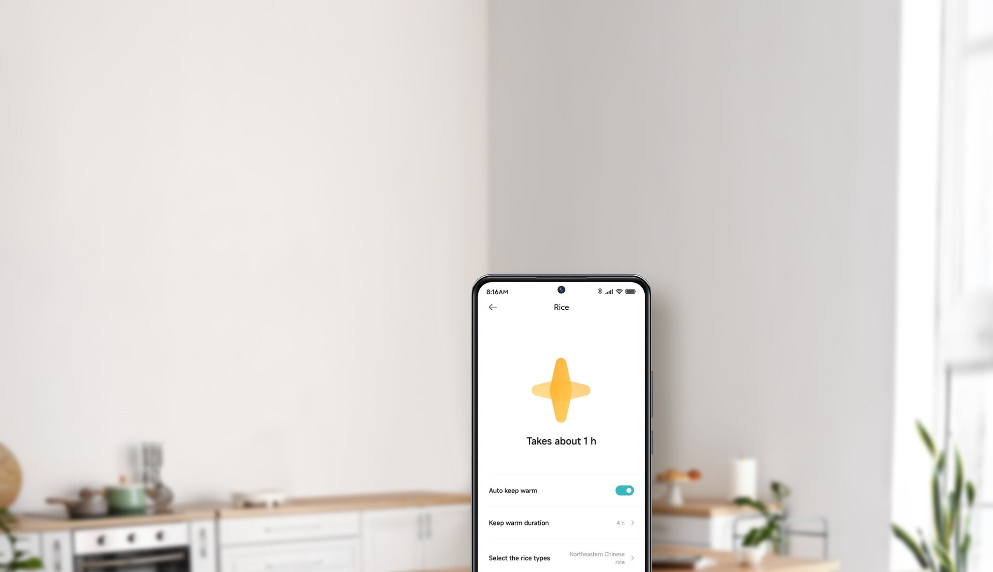 Xiaomi Smarter Multifunktions-Reiskocher
