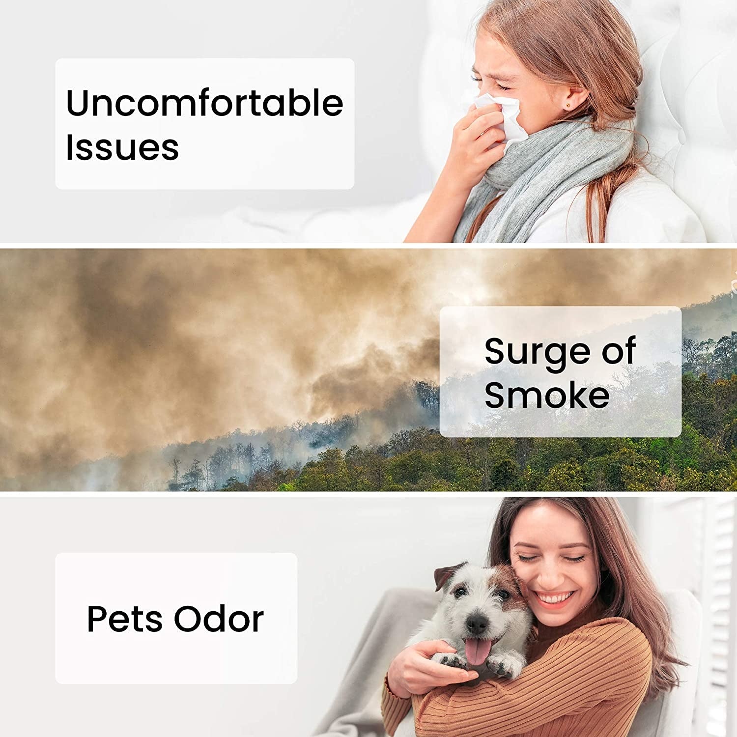 Filtre pour animaux Xiaomi SmartMi Purifier P1