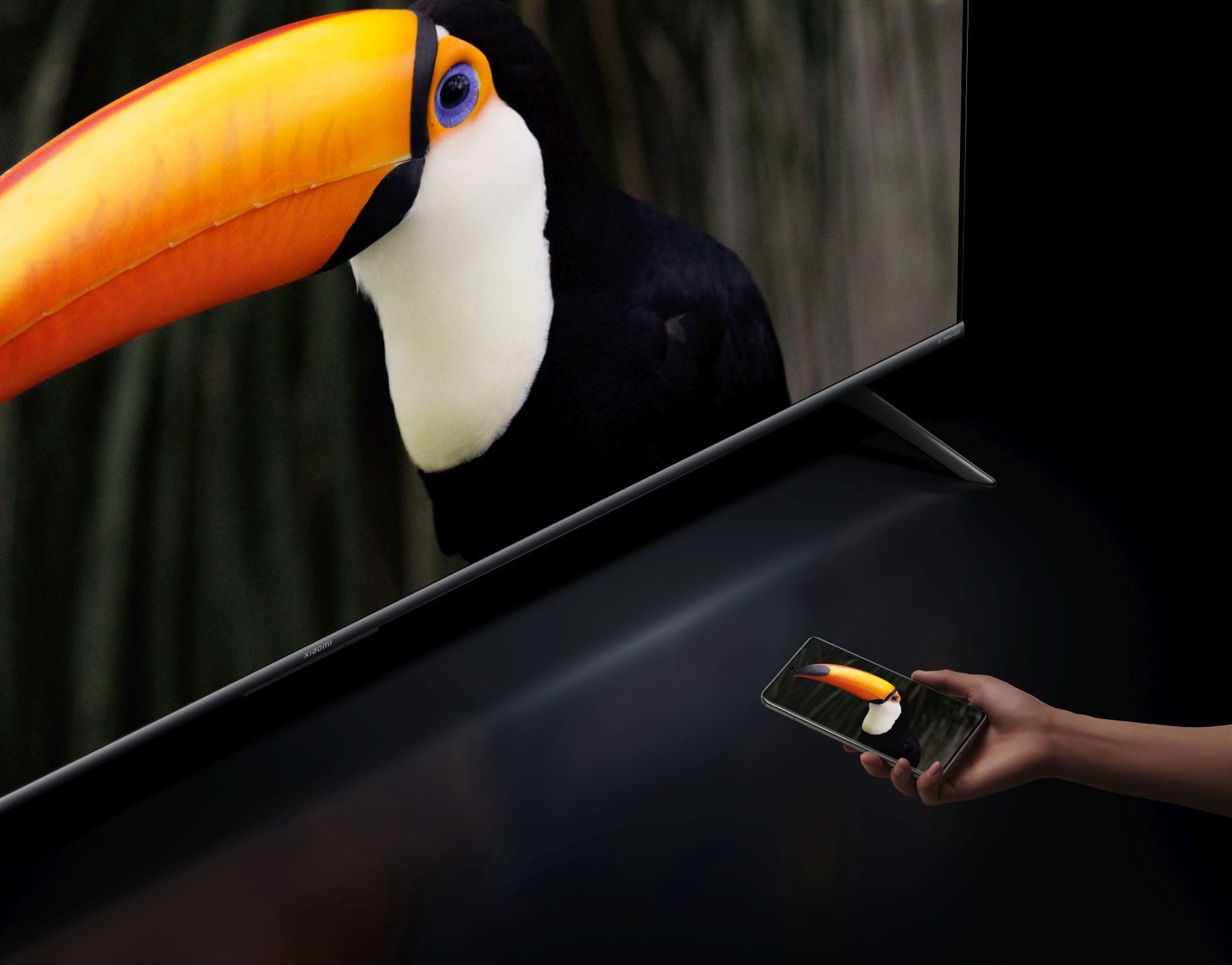 Xiaomi TV S Mini LED 65 pouces 2025